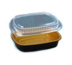 disposable empty take-out container